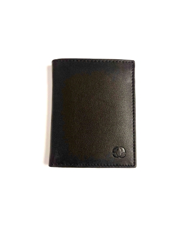 CARTERA CABALLERO                                                                                   