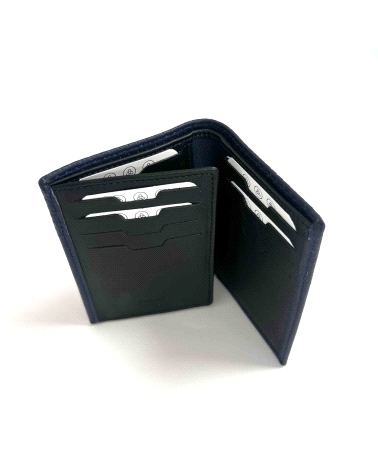 CARTERA CABALLERO                                                                                   