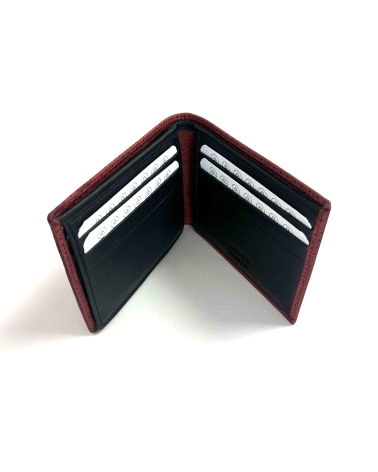 CARTERA CABALLERO