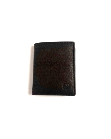 CARTERA CABALLERO