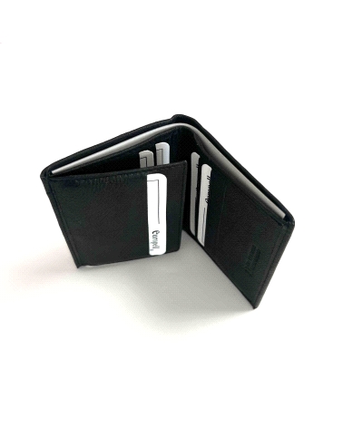 CARTERA CABALLERO