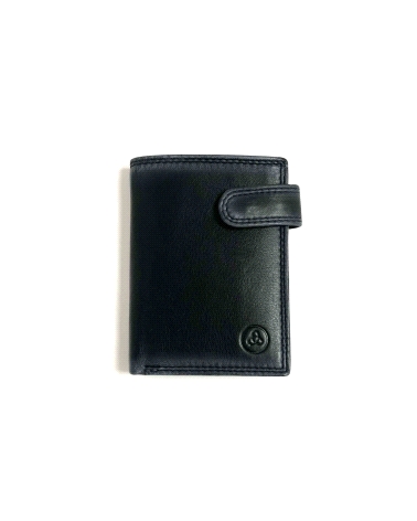 CARTERA CABALLERO                                                                                   