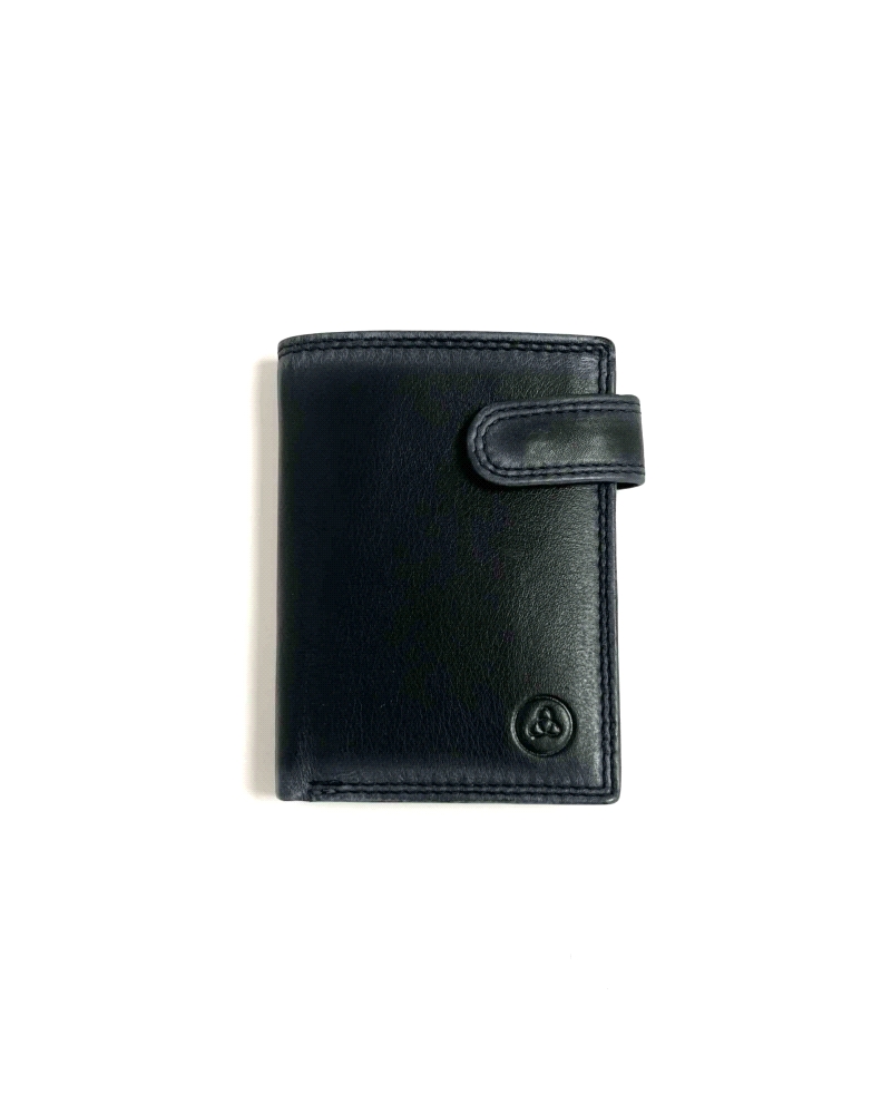 CARTERA CABALLERO                                                                                   