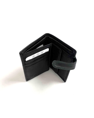 CARTERA CABALLERO                                                                                   